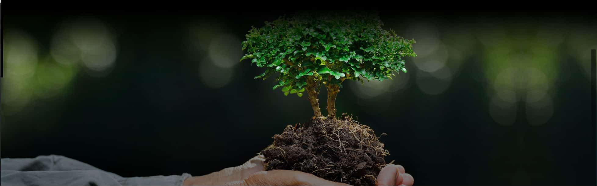 יועץ איכות הסביבה ולמה הוא חשוב