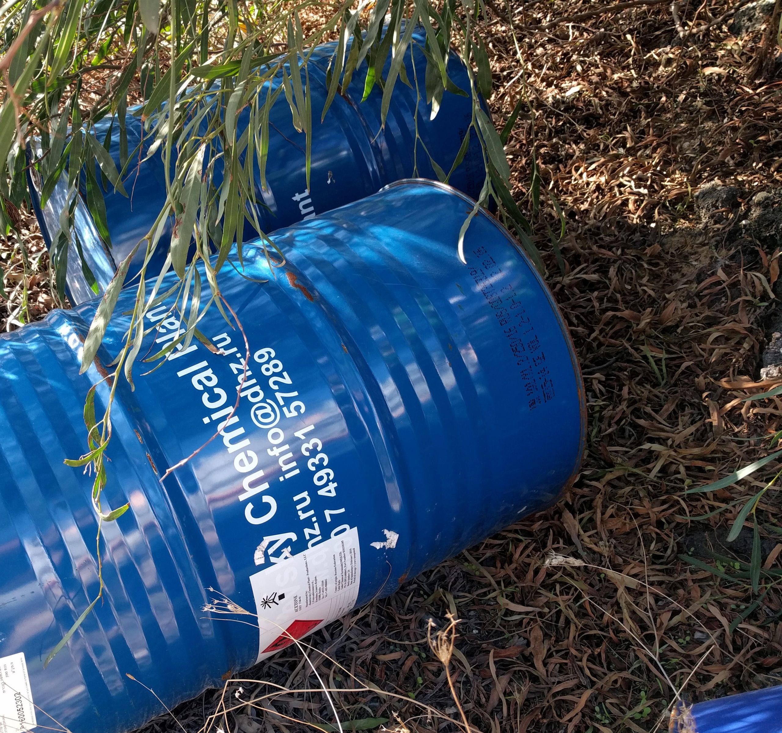 פרשה טכנית - הסוגים בשונים