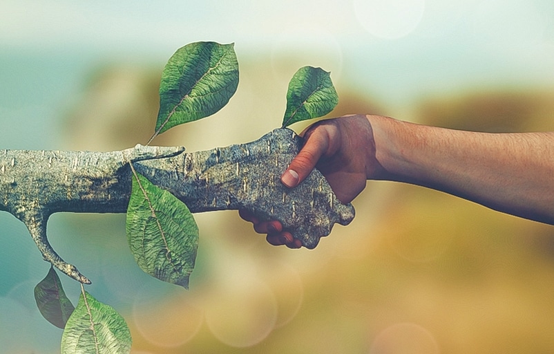 איכות הסביבה אחראי