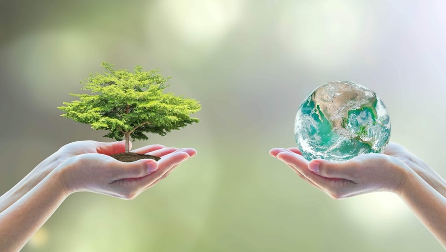 יועץ הידרולוגיה ומה תפקידו