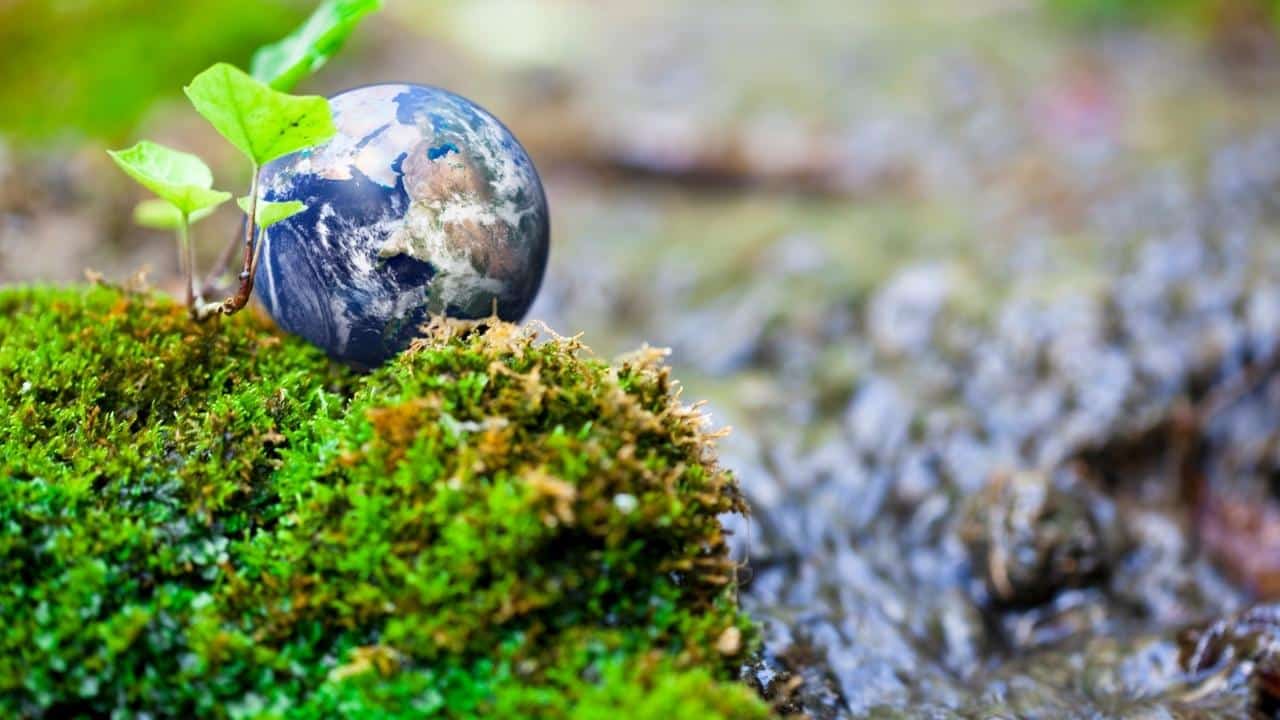 מפקח איכות הסביבה