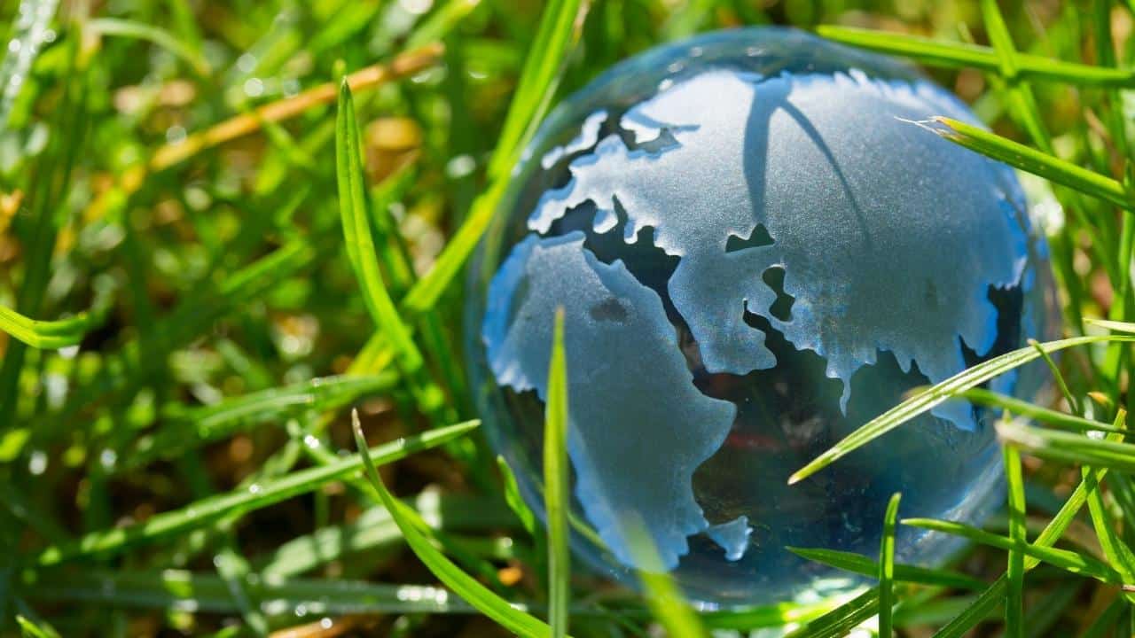 ייעוץ מקצועי לשמירה על סביבה בריאה ונקייה