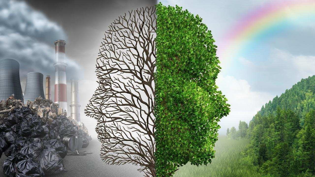 פיקוח סביבתי חכם לשמירה על האיזון