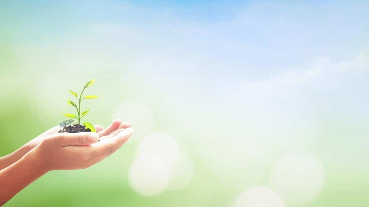 הופכים את ניהול האשפה לפשוט וידידותי לסביבה