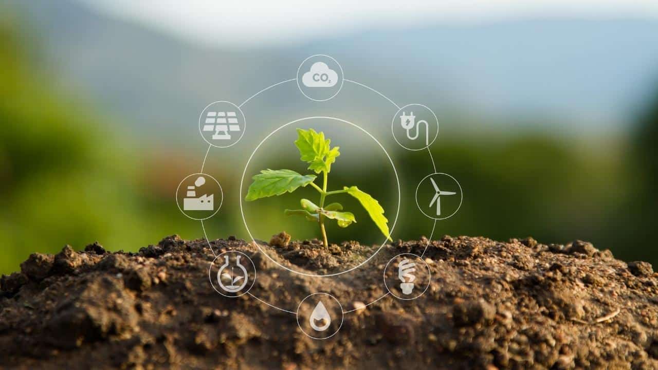 תכנון אשפה חכם: הדרך החדשה לניהול פסולת