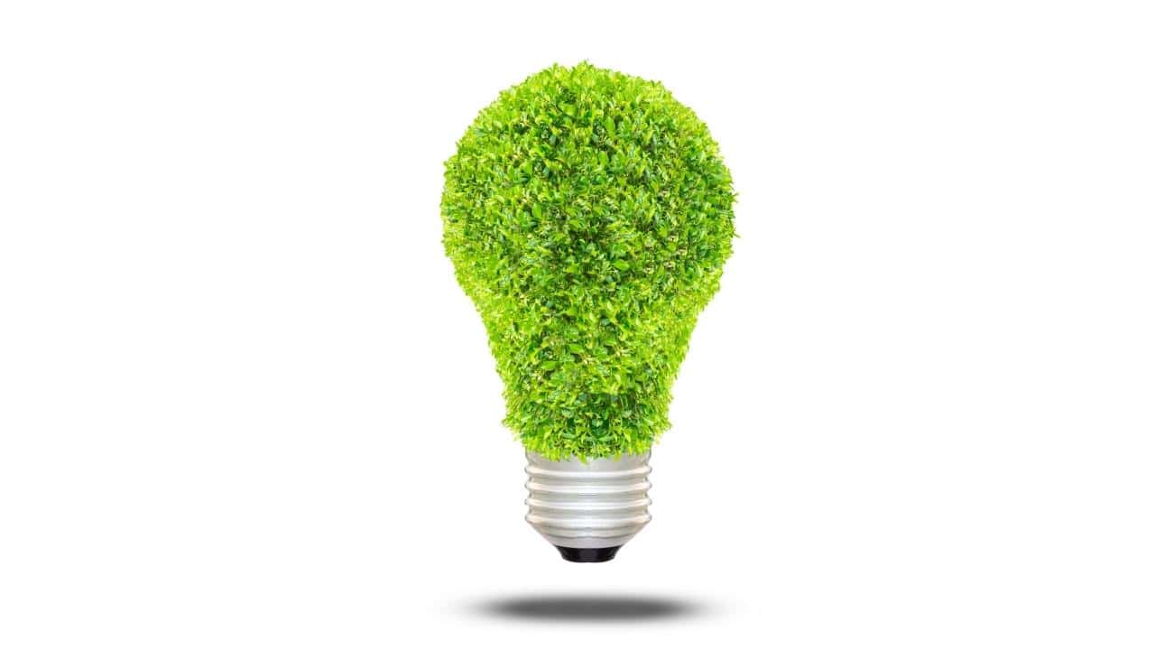 ניהול ופיקוח סביבתי מקצועי